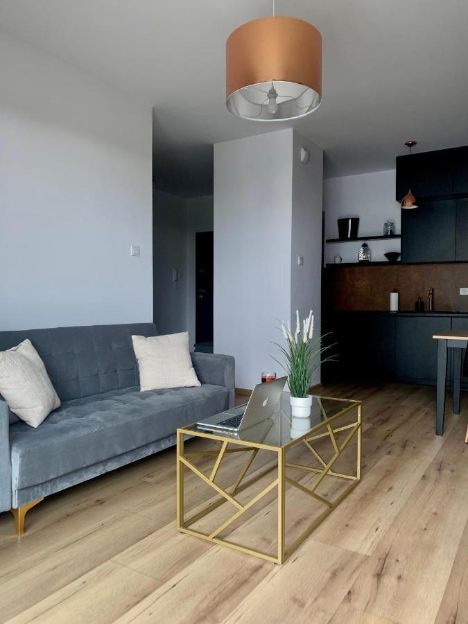 Apartment On Drewnowska Street Manufaktura ウッチ エクステリア 写真